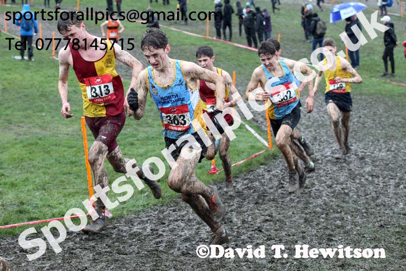 Senior boys 2019 New Balance English Schools Cross Country Champs, Temple Newsam, Leeds. Photo:  David T. Hewitson/Sports for All Pics